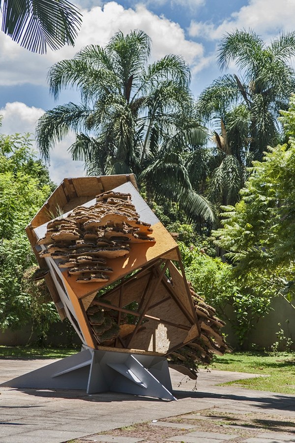 Vertical view of the Cloudy Thoughts pavilion framed by tropical vegetation